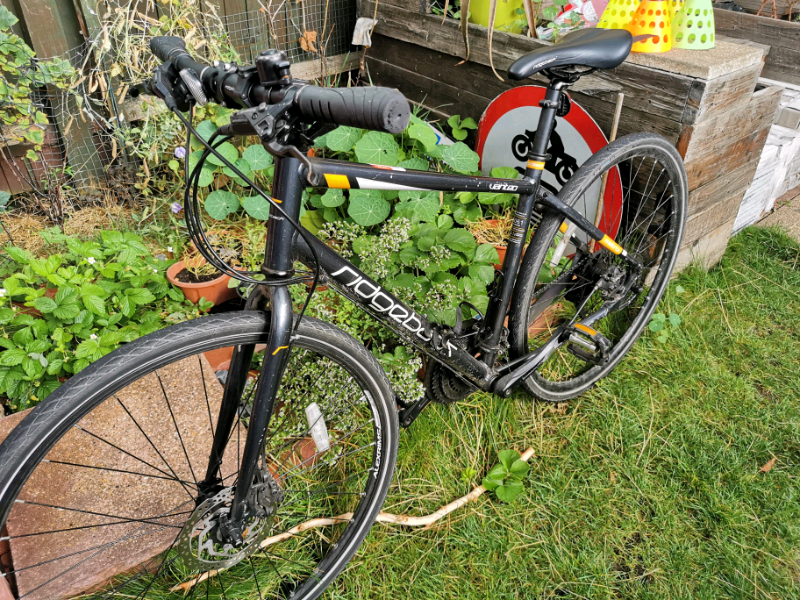 ridgeback vanteo 2018